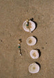 Espeto Earrings_Gold