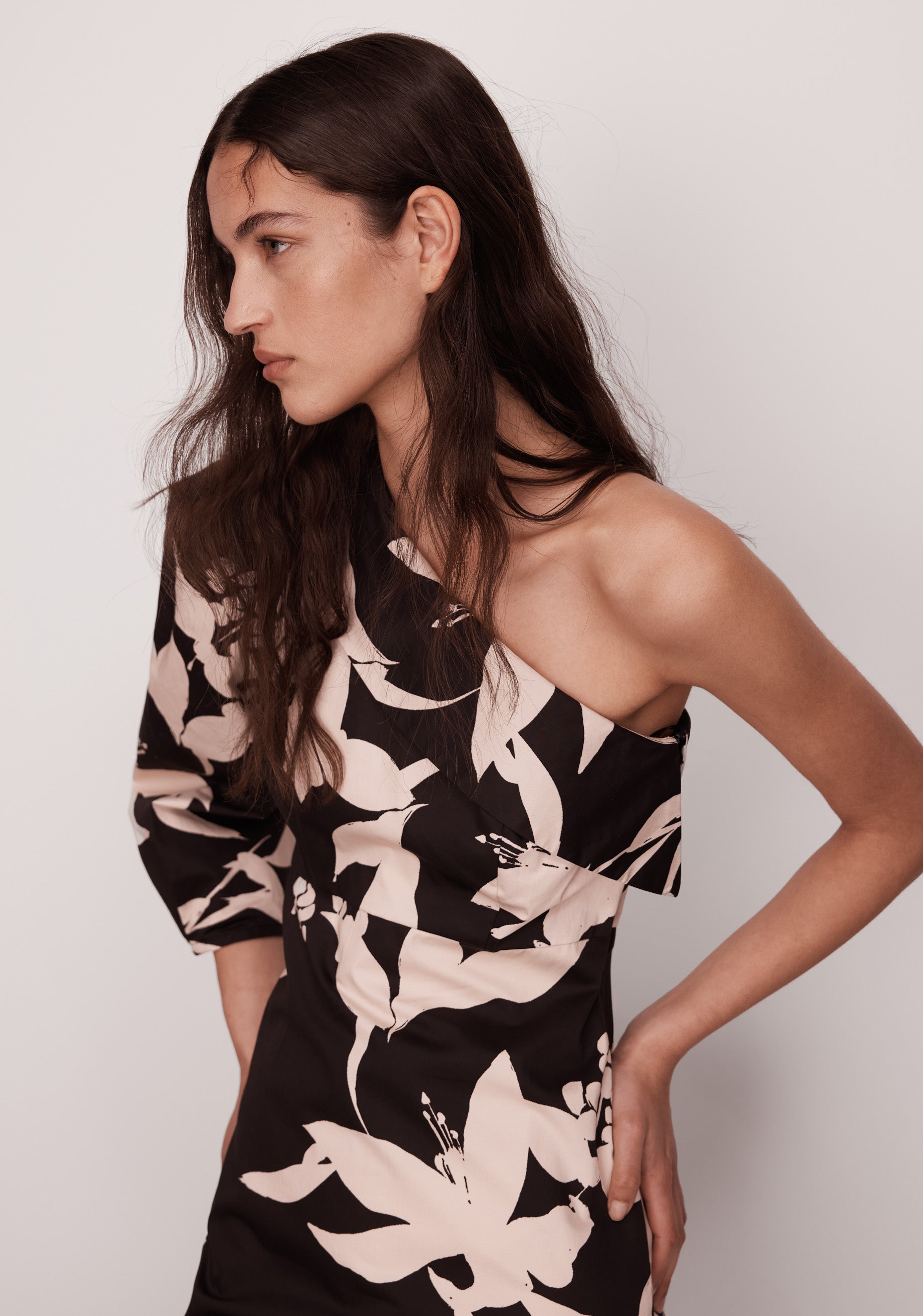 Delvine Asymmetric Dress_Print